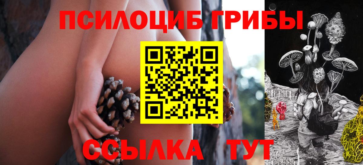 Элиста  Псилоцибиновые грибы GOLDEN TEACHER  Вход с VPN  Псилоцибиновые грибы Magic Shrooms 