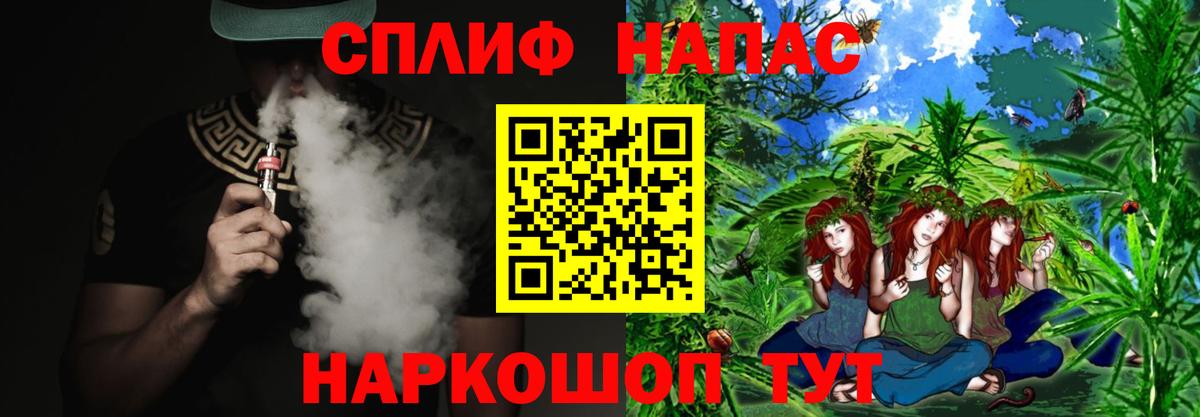 Элиста  Бошки марихуана индика  Марихуана Bruce Banner  Вход с VPN 